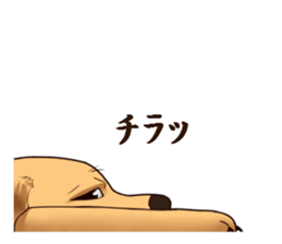 Blackcat & bigdog sticker #10358981