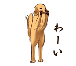 Blackcat & bigdog sticker #10358983