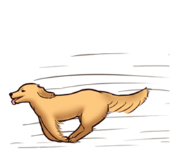 Blackcat & bigdog sticker #10358985