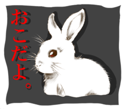 Rabbit ITOSAN 2 sticker #10359085