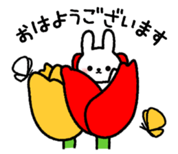 Frequently used message Rabbit 4 sticker #10363206