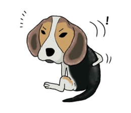 Cheeky beagle dog MINTON sticker #10366362