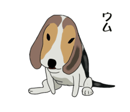 Cheeky beagle dog MINTON sticker #10366368
