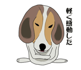 Cheeky beagle dog MINTON sticker #10366371