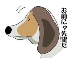 Cheeky beagle dog MINTON sticker #10366396