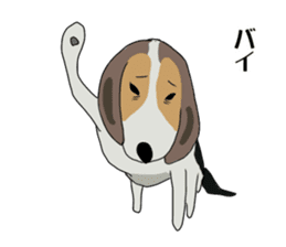 Cheeky beagle dog MINTON sticker #10366399
