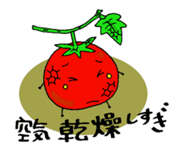 Weather with mini tomato. sticker #10367522