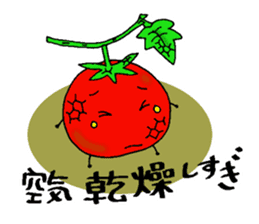 Weather with mini tomato. sticker #10367522