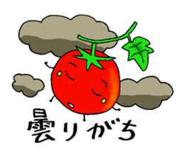 Weather with mini tomato. sticker #10367524
