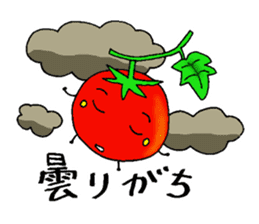 Weather with mini tomato. sticker #10367524