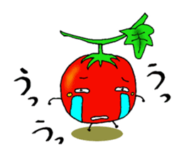 Weather with mini tomato. sticker #10367531