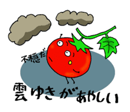Weather with mini tomato. sticker #10367532