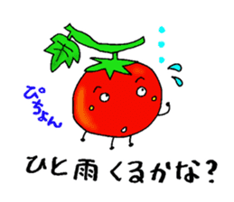 Weather with mini tomato. sticker #10367533