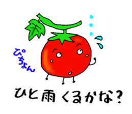 Weather with mini tomato. sticker #10367533