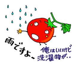 Weather with mini tomato. sticker #10367534