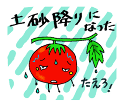 Weather with mini tomato. sticker #10367535