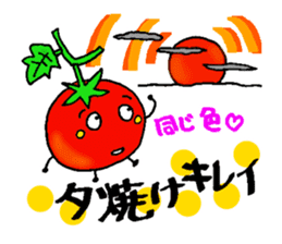Weather with mini tomato. sticker #10367537