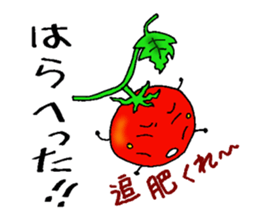 Weather with mini tomato. sticker #10367540
