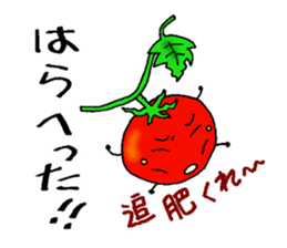 Weather with mini tomato. sticker #10367540