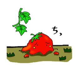 Weather with mini tomato. sticker #10367550