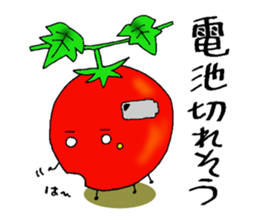 Weather with mini tomato. sticker #10367554