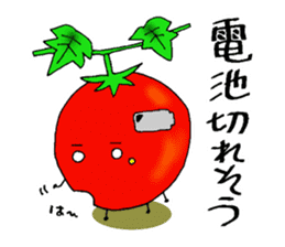 Weather with mini tomato. sticker #10367554