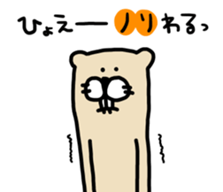 Ferret Sticker. sticker #10369044