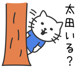 Cat to OOTA sticker #10370441
