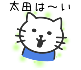 Cat to OOTA sticker #10370446