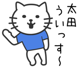 Cat to OOTA sticker #10370459