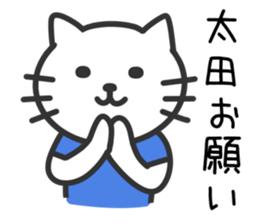 Cat to OOTA sticker #10370460
