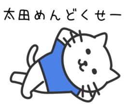 Cat to OOTA sticker #10370469