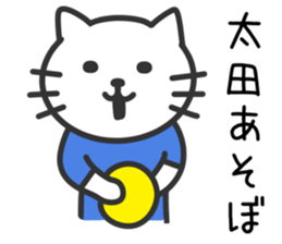 Cat to OOTA sticker #10370470