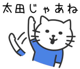 Cat to OOTA sticker #10370471