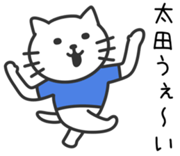 Cat to OOTA sticker #10370475