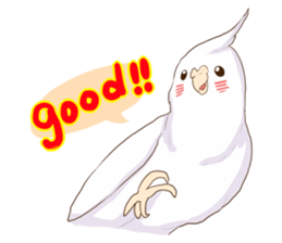 true parrots.2 sticker #10370960