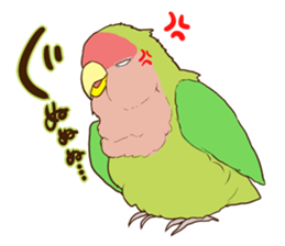 true parrots.2 sticker #10370965