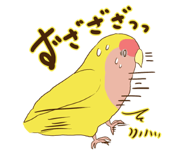 true parrots.2 sticker #10370967