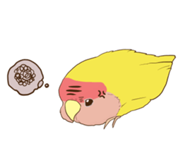 true parrots.2 sticker #10370968