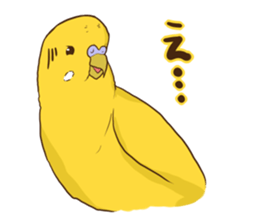 true parrots.2 sticker #10370970