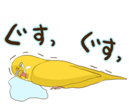 true parrots.2 sticker #10370971