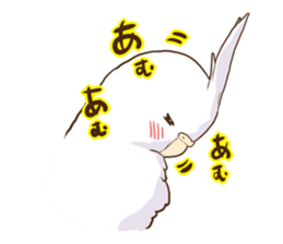 true parrots.2 sticker #10370973