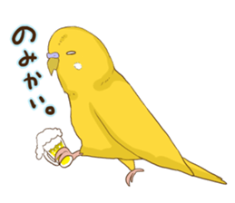 true parrots.2 sticker #10370976