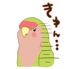 true parrots.2 sticker #10370981