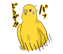 true parrots.2 sticker #10370984