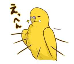 true parrots.2 sticker #10370985