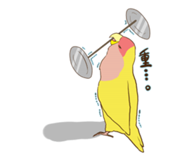 true parrots.2 sticker #10370986