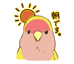 true parrots.2 sticker #10370989