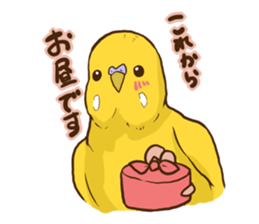 true parrots.2 sticker #10370990