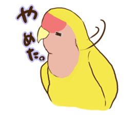 true parrots.2 sticker #10370992